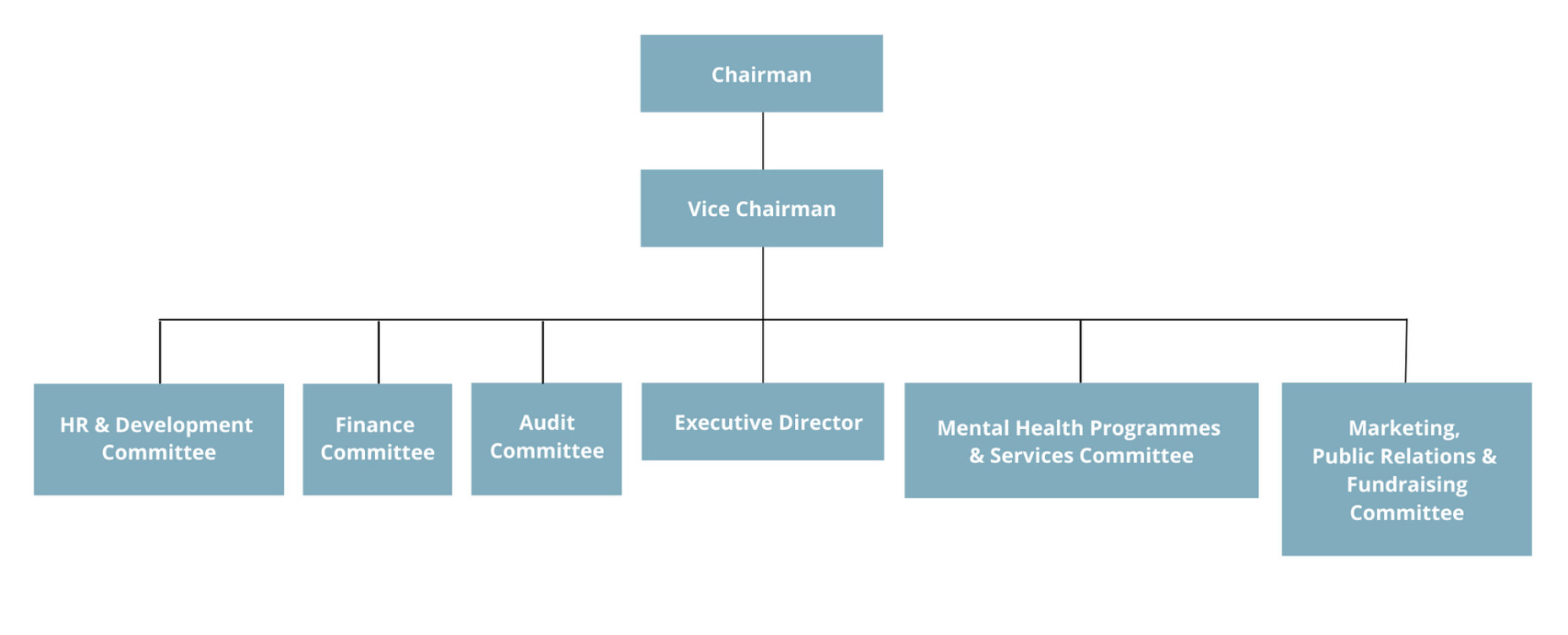 Board of Directors Organisation Chart