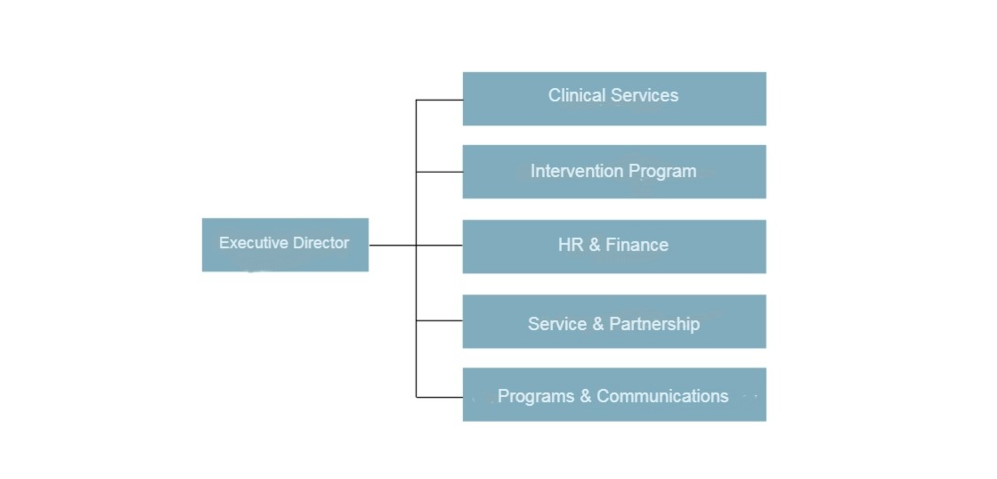 Board of Directors Organisation Chart